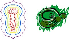 Turtles entangled Michael Plaster