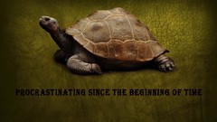 Turtles procrastination