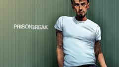 TV alternative art prison