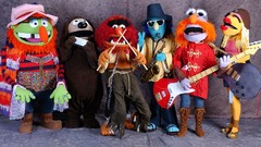 TV Animals The Muppet