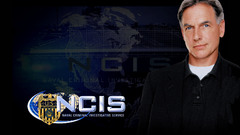 TV NCIS Leeroy Jethro