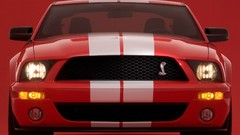 TV shows shelby cobra