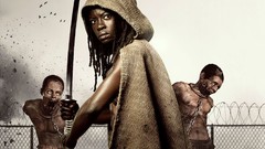 TV shows the walking dead michonne