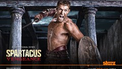 TV shows TV series liam mcintyre Spartacus Vengeance