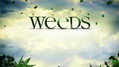 TV Weeds Movie