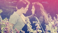 Twilight edward Bella Breaking Dawn