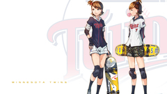 Twins baseball skateboards mlb