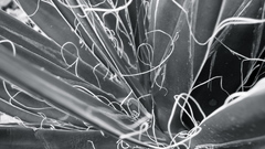 Twisted threads high