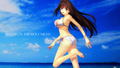 Type-moon Aozaki Aoko mahou