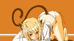 Type-moon tails tsukihime nekomimi