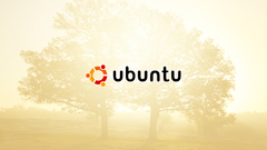 Ubuntu
