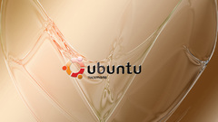 Ubuntu computer
