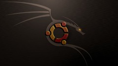 Ubuntu dragon Linux os