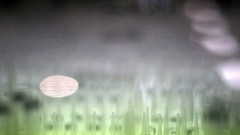 Ubuntu GNU/Linux Ubuntu 10.04 Lucid Lynx