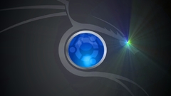 Ubuntudragonnovablue