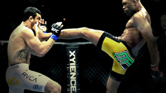 Ufc anderson silva vitor