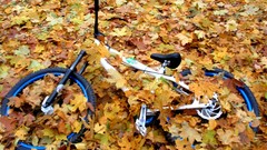 Ukraine cycle fallen leaves