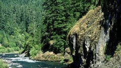Umpqua river