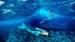 Underwater merman