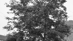 United Kingdom cities cumbria grayscale carlisle