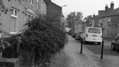 United Kingdom roads cities cumbria grayscale carlisle