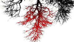 Untitled hey wg need