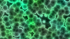 Untitled just played around