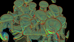 Upside down explore The