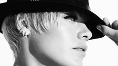 USA Pop Alecia Beth Moore Pink (singer)