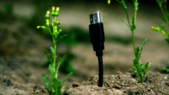 usb Technology Plants macro humor