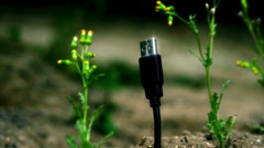 Usbsprout most canvases Print