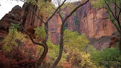 Utah zion