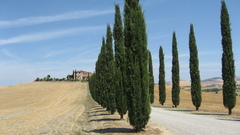 Val orcia landscape high