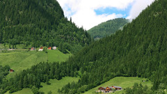 Valley verdure collines greenery