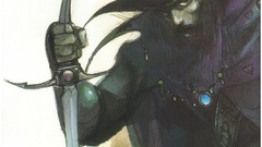 Vampire hunter d Yoshitaka