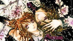 Vampire knight