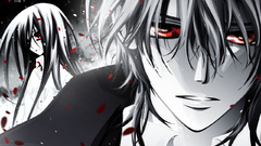 Vampire knight Manga Anime
