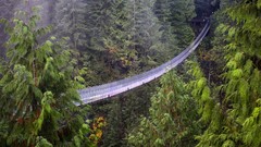 Vancouver British Columbia suspension bridge Capilano 