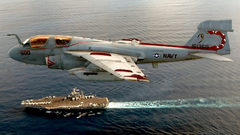 VAQ-132 Scorpions CVN 67