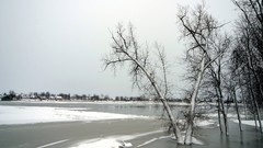 Varied Archigraph Reza farsipack