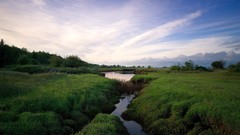 Varied Archigraph Reza farsipack