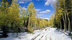 Varied Archigraph Reza farsipack