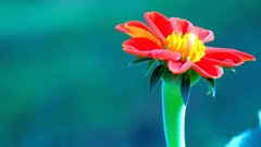 Varied Archigraph Reza farsipack