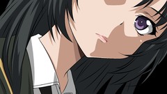 Vectors long hair transparent