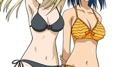 Vectors school rumble