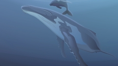 Vectors Whales