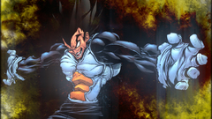 Vegeta Dragon Ball