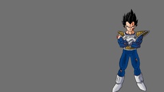 Vegeta Dragon Ball Z