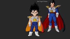 Vegeta Dragon Ball Z
