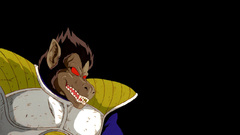 Vegeta Dragon Ball Z